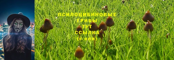 не бодяженный Краснослободск