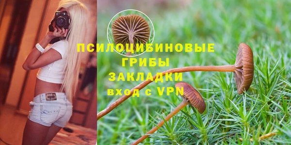 кристаллы Коряжма